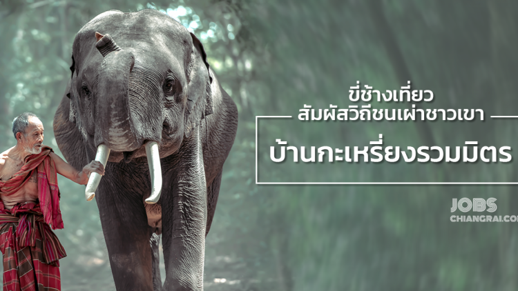 ขี่ช้างเที่ยวสัมผัสวิถีชนเผ่าชาวเขาบ้านกะเหรี่ยงรวมมิตร