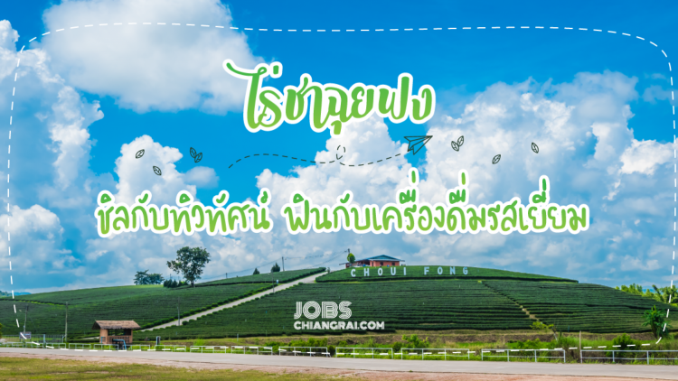 ชิลกับทิวทัศน์ในไร่ชา ฟินกับเครื่องดื่มรสเยี่ยม ที่ไร่ชาฉุยฟง