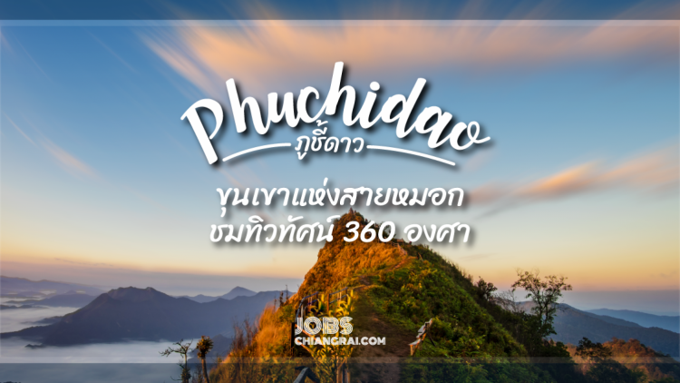 ภูชี้ดาวขุนเขาแห่งสายหมอกชมทิวทัศน์ 360 องศา