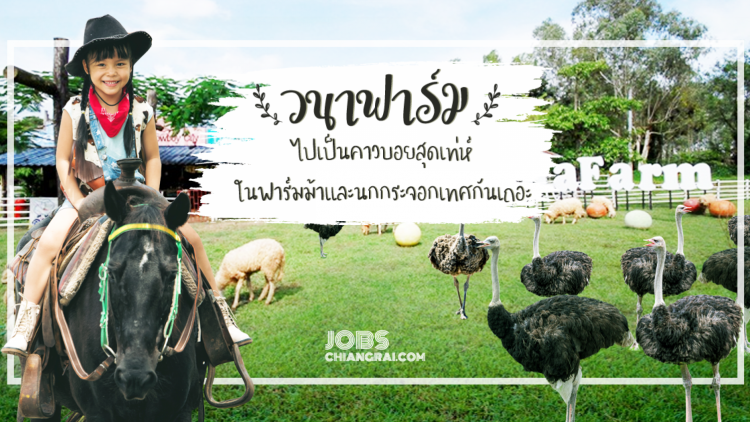 &quot;วนาฟาร์ม&quot; ไปเป็นคาวบอยสุดเท่ห์ในฟาร์มม้าและนกกระจอกเทศกันเถอะ