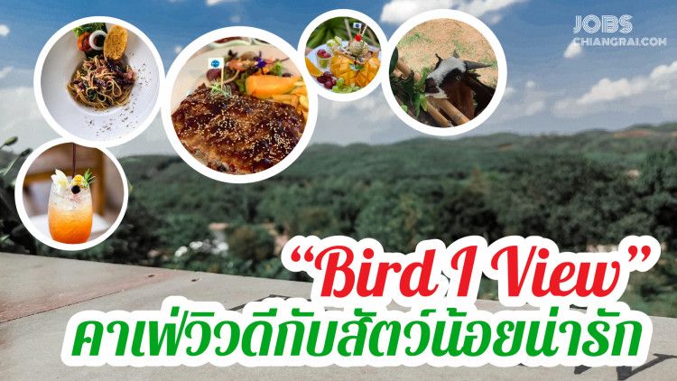 “Bird I View” คาเฟ่วิวดีกับสัตว์น้อยน่ารัก