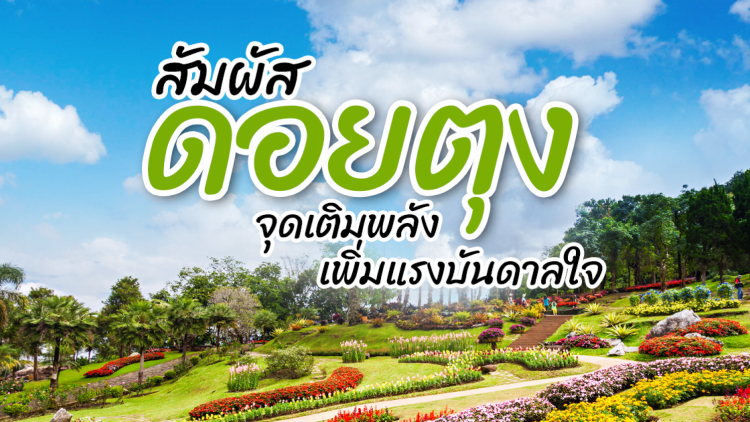 หนาวนี้เที่ยวดอยตุงสุดฟินไปกับขุนเขาและสายหมอก