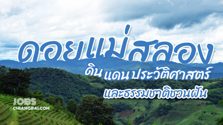 ดอยแม่สลองดินแดนประวัติศาสตร์และธรรมชาติชวนฝัน