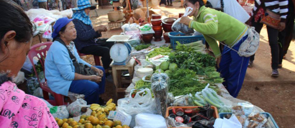ตลาดแม่แจมป๋อง
