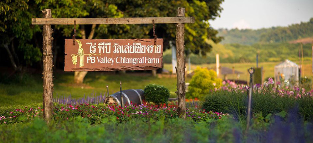 ไร่พีบีวัลเล่ย์